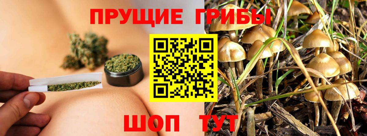 Галлюциногенные грибы ЛСД Ахтубинск